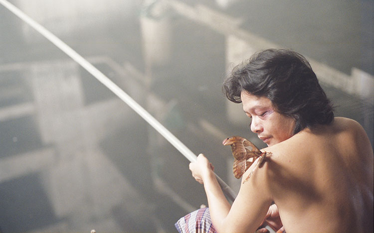 <em>I don't want to sleep alone</em> © CTV International