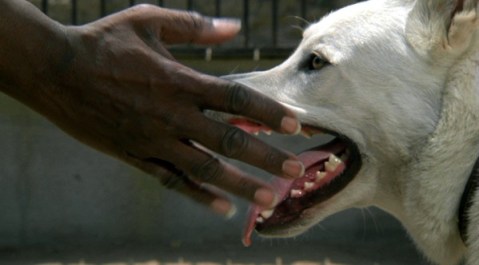 © Paramount Pictures