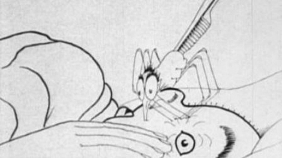 <em>How a mosquito operates</em> de Winsor McCay © Vitagraph Company of America