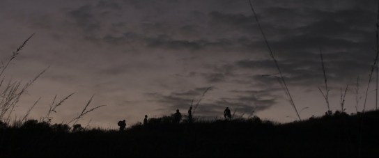 © Independencia Distribution