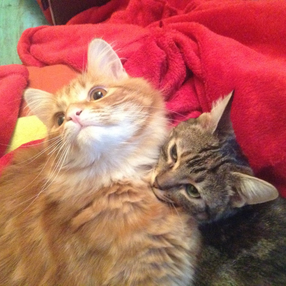 Apichatpong & Xica da Silva dans une imitation des 3 Stooges © FredMJG