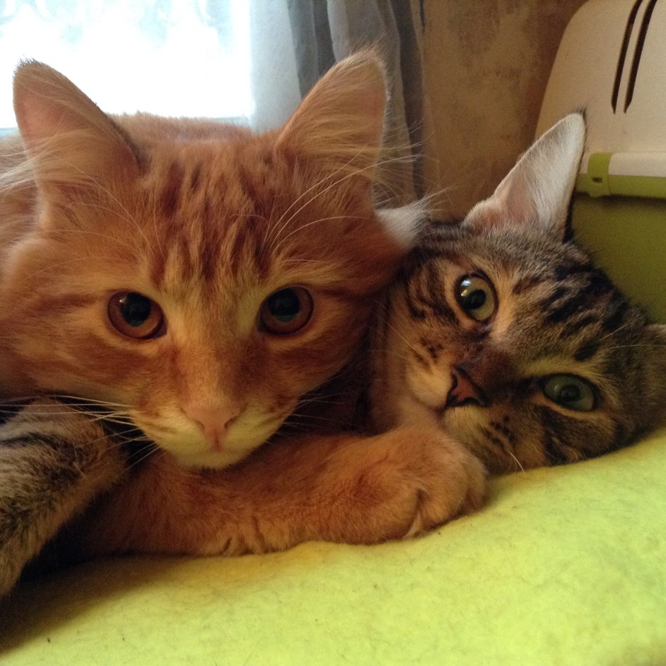 Apichatpong & Xica da Silva © FredMJG