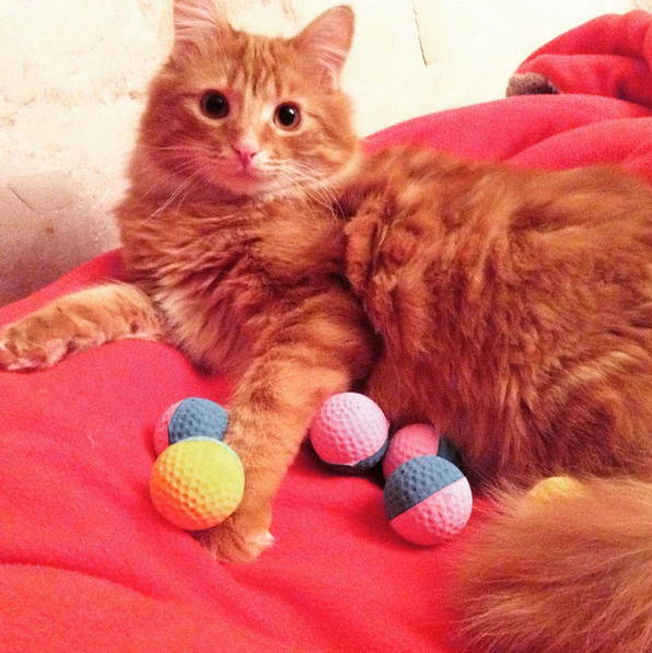 Apichatpong_Tirage au sort